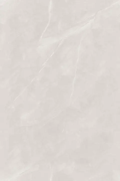 DIX GRIS